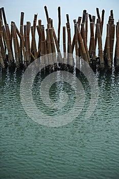 Bamboo embroidered in the sea