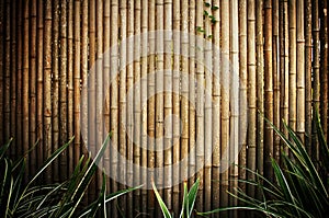 Bamboo fence photo