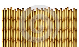 Bamboo Fence