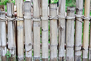 Bamboo fence