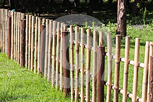 bamboo fence