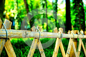 A bamboo fence around a wood in spring.