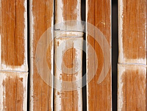 Bamboo Fence Background