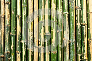 Bamboo fence background