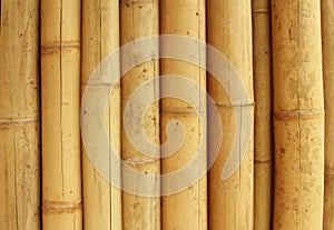 Bamboo fence background