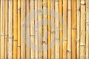 Bamboo fence background