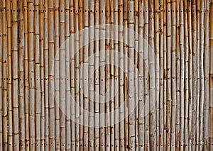 Bamboo fence background.