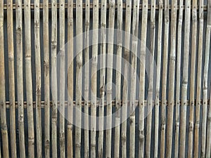 bamboo fence background design