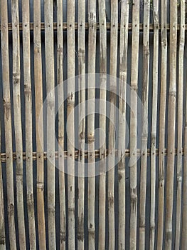 bamboo fence background design