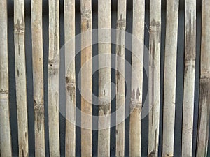 bamboo fence background design