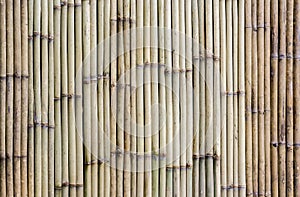 Bamboo fence background