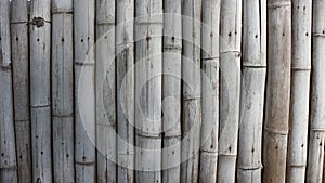 a bamboo fence background that looks aesthetic and neat photo