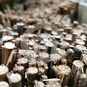 bamboo fence closeup, background, texture, media ambiente photo