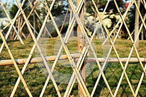 bamboo garden fence