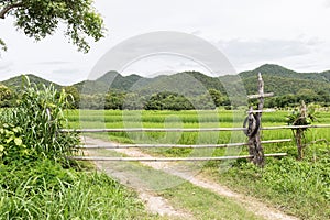 Bamboo fence and gate