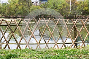 bamboo fence in spring