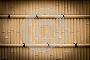 Bamboo fence texture