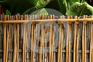 Bamboo fence texture natural background