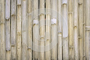 Bamboo fence texture in vertical patterns ,Natural for background, light brown wooden wall