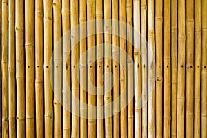 Bamboo fence