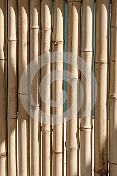 Bamboo fence or wall texture background