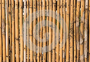 Bamboo fence or wall texture and background for exterior design