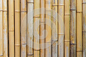 bamboo fence wall texture pattern for background