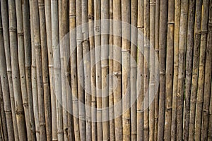 Bamboo Fencing Texture