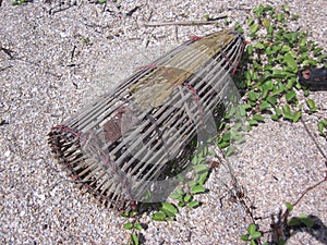 Bamboo fish trap.