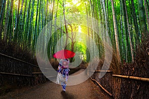 Bamboo forest at Arashiyama with woman in traditional kinono and umbrella. Japan