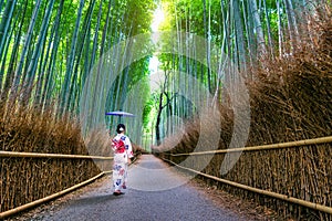 Bamboo Forest. Asian woman wearing japanese traditional kimono at Bamboo Forest in Kyoto, Japan