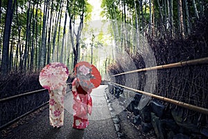 Bamboo forest in Japan