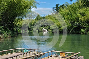 Bamboo forest and lake