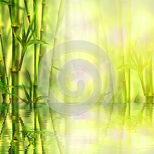 Bamboo forest with reflection in water spa background. Watercolor illustration with space for text