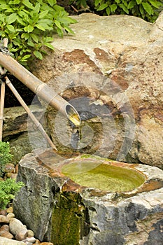 Bamboo fountain