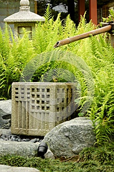 Bamboo fountain