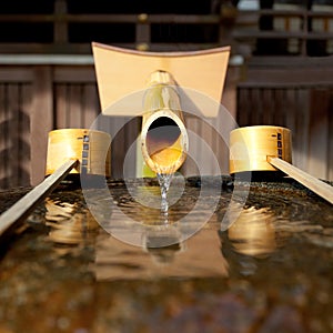 Bamboo fountain