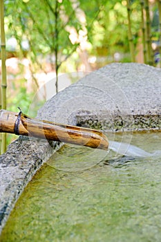 Bamboo fountain