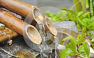 Bamboo fountain