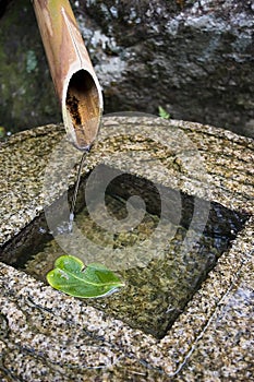 Bamboo Fountain