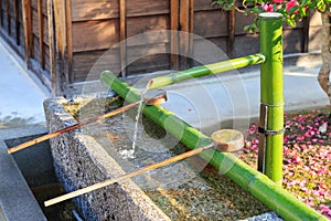 Bamboo Fountain