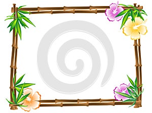 Bamboo frame photo