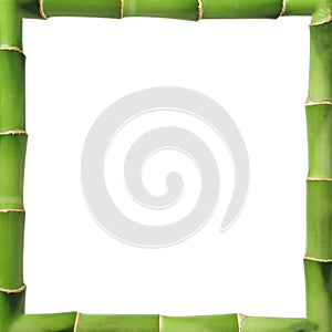 Bamboo frame