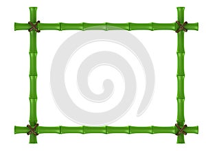 Bamboo frame