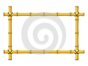 Bamboo Frame photo