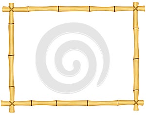 Bamboo frame