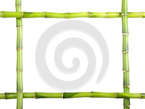 Bamboo frame