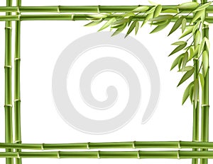 Bamboo frame. Vector background