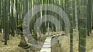 Bamboo Garden in Kamakura