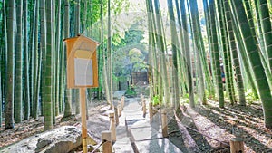 The bamboo garden with walkway, signage and sunshine at Hokoku-ji in Kamakura, Japan